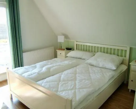 Seepferdchen Am Schwarzen Busch